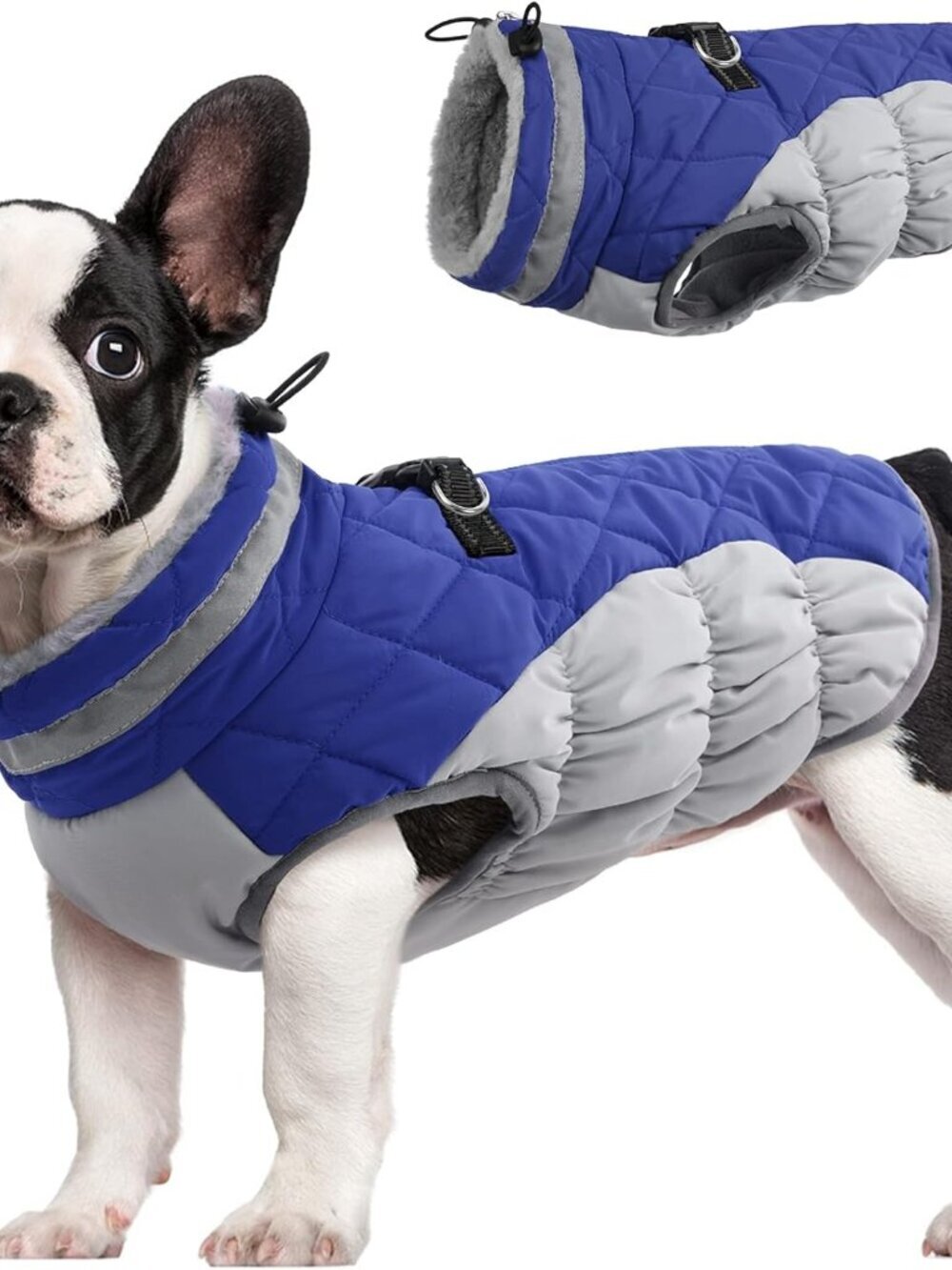 FUAMEY Dog Coat for Small Dogs